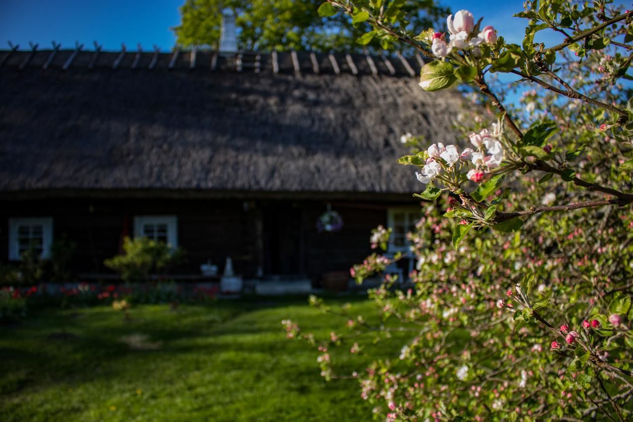 Дома для отпуска Kuusetuka Tourism Farm Pähkla-39